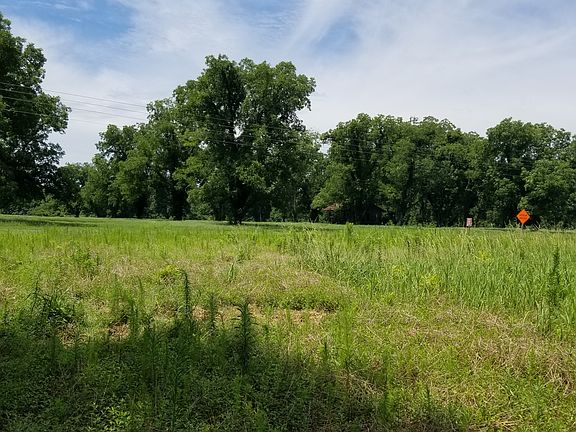 View of pecan orchard/road
