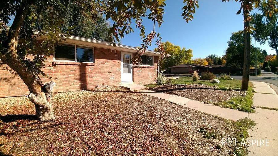 902 Tulip St