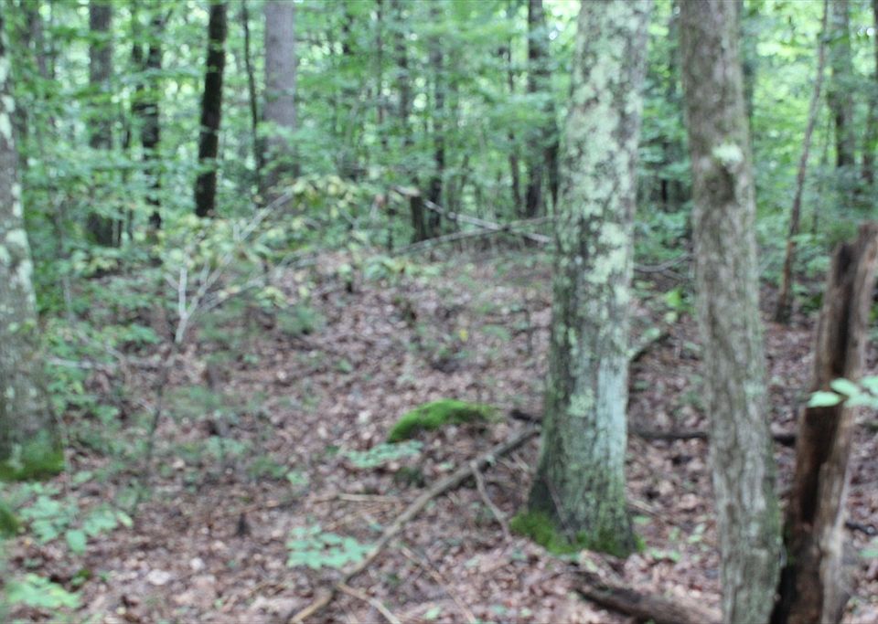 2nd image of 0 Burnshirt Rd