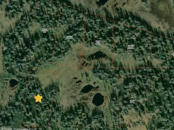 L4 B Super Clb #4, Talkeetna, AK 99676