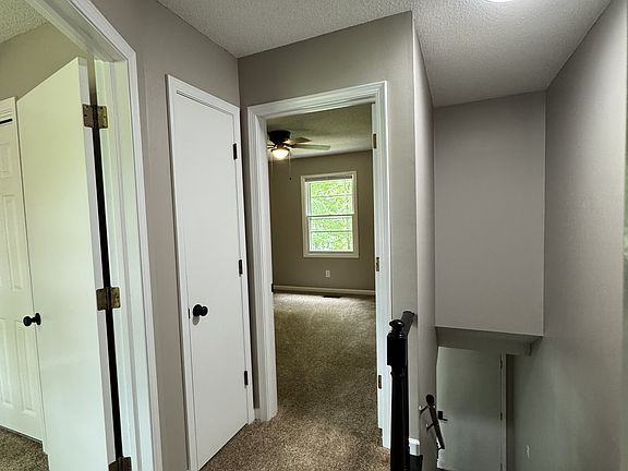 5th image of 266 Gibson St