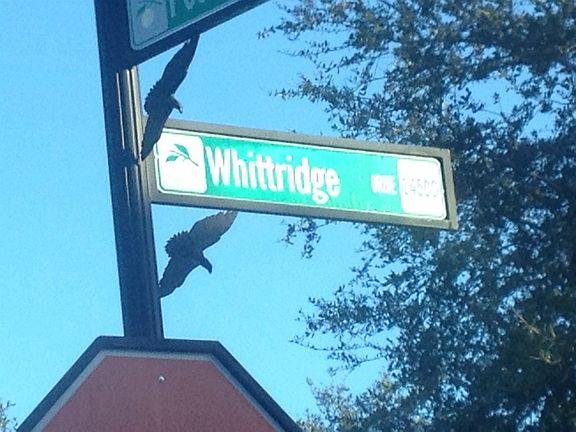 5th image of 14614 Whittridge Dr