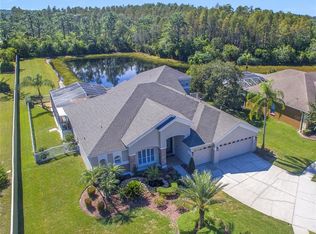 4602 Kilcoyne Ct, Lutz, FL 33558
