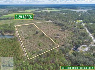 1 Saddle Club Rd, Hoboken, GA 31542