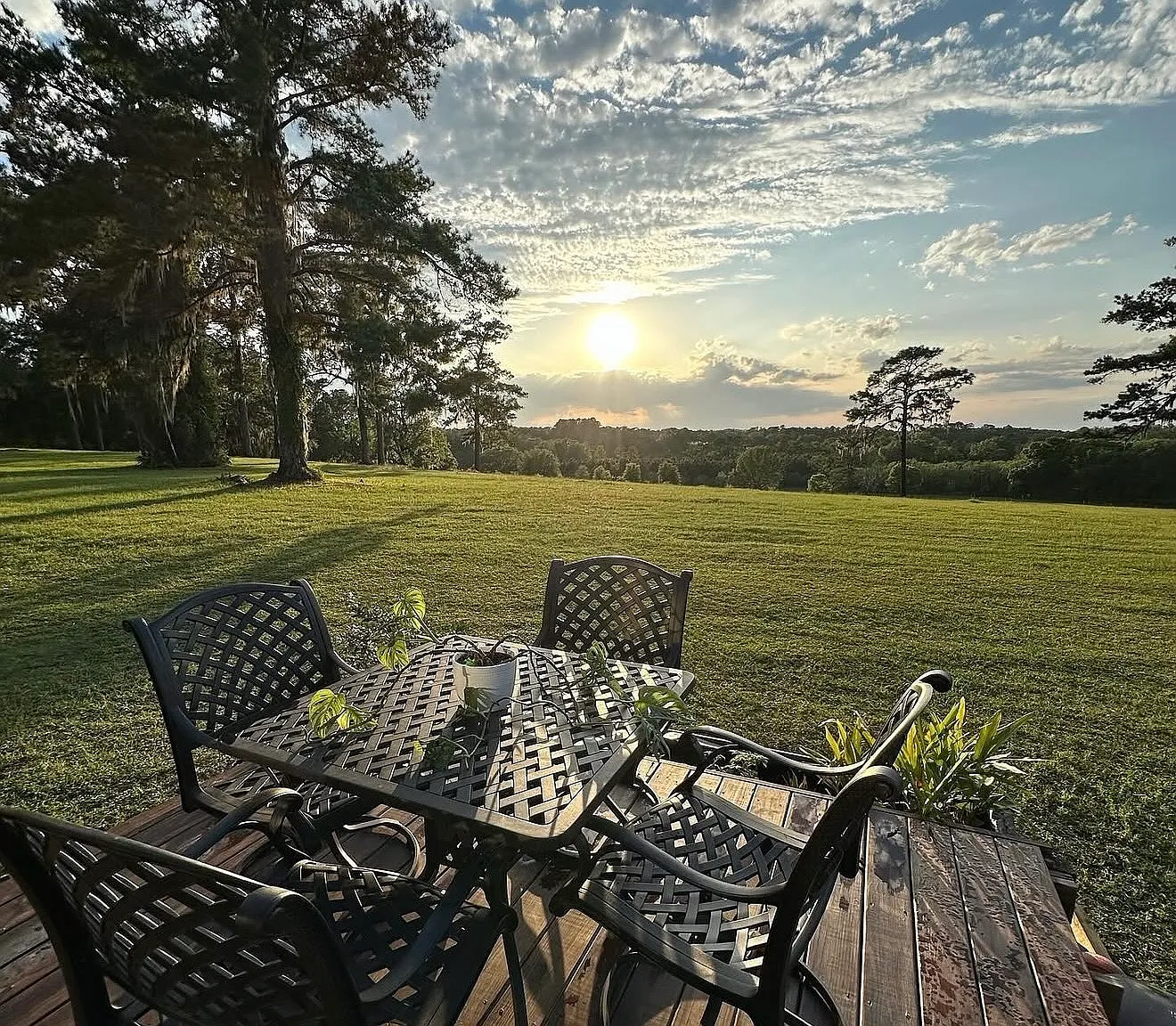 NW 95th Blvd, Gainesville — Photo 4