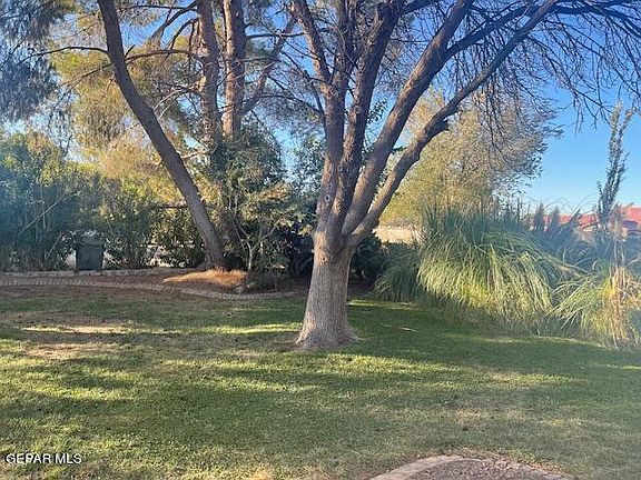 3rd image of 5850 Oleaster Dr