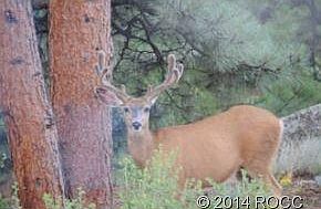 2nd image of 390 County Road 26