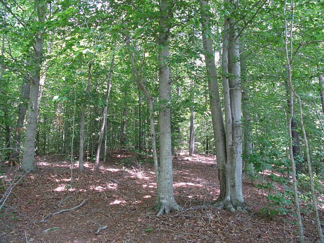 2nd image of 12 Pond Ridge Road