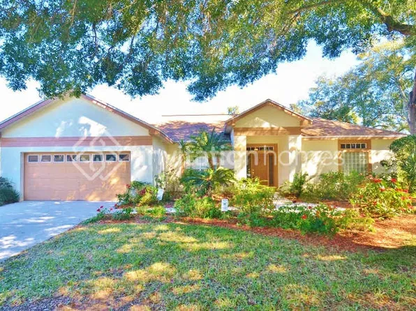 3942 Appletree Dr, Valrico, FL 33594