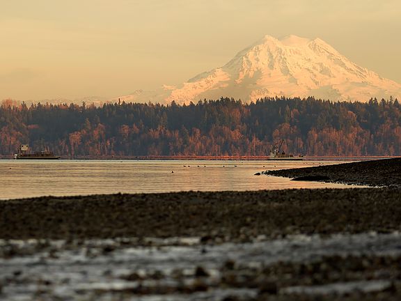 Mt. Rainier from beach