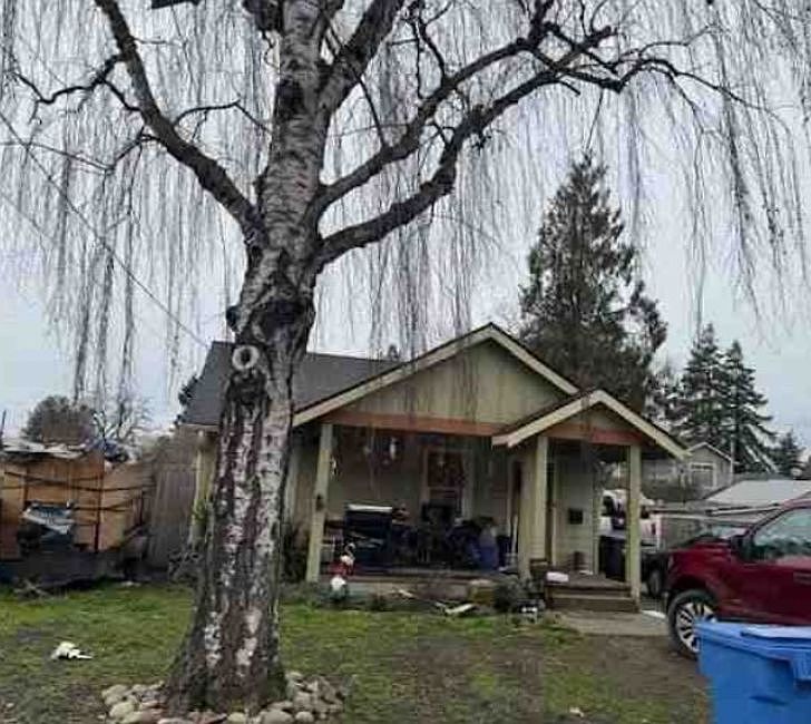 Property Front View