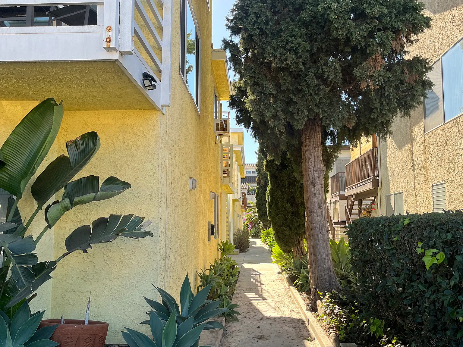 2 bed, 1000 sqft, $3,600 — Photo 2