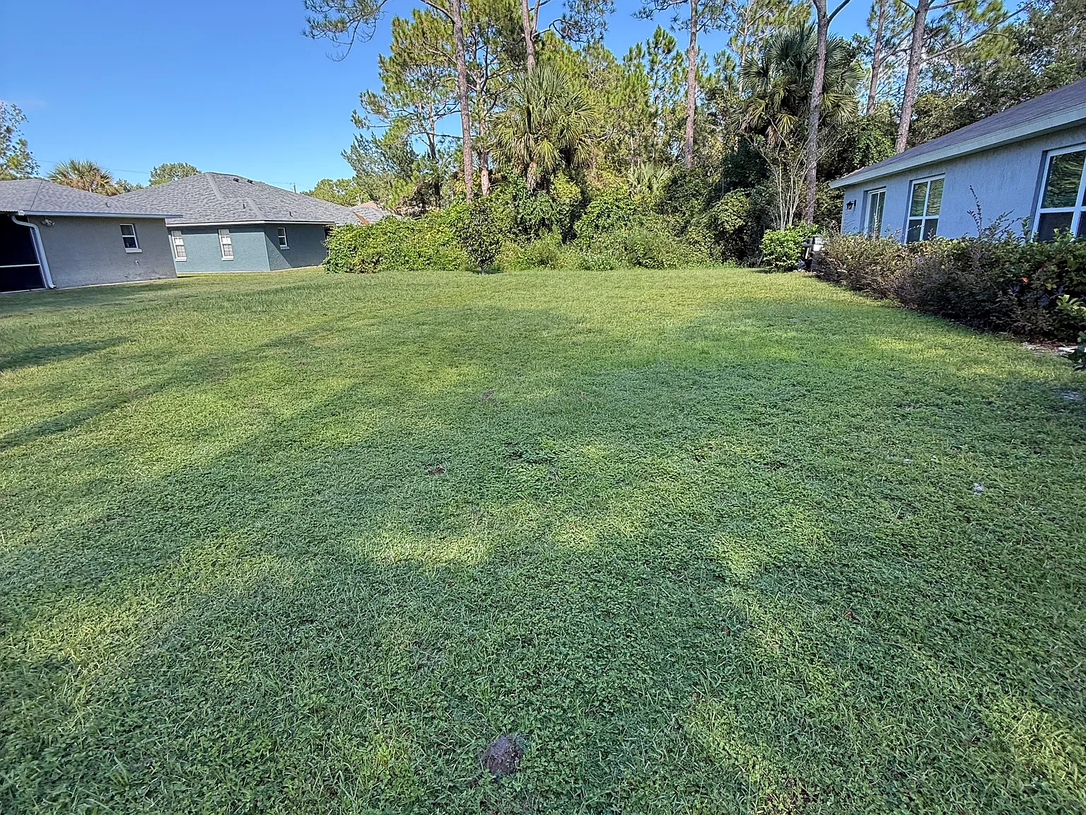2 bed, 970 sqft, $1,700 — Photo 1