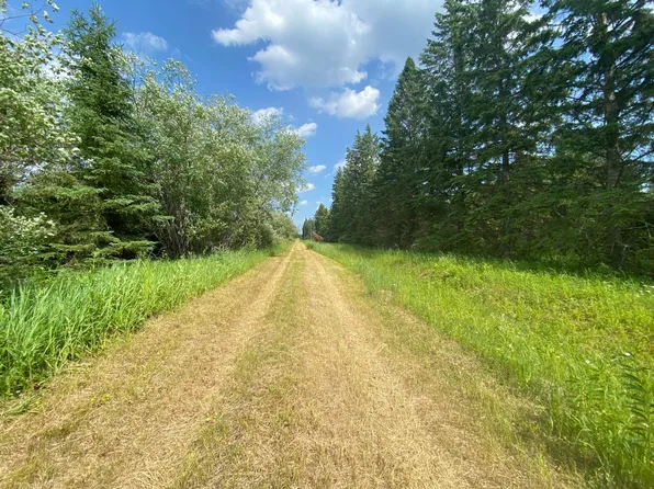 8848 Range Line Rd, Cook, MN 55723