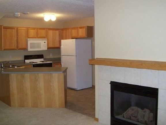 Gas fireplace