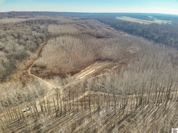 0 Lower River Rd, Arlington, KY 42021