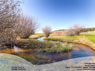 15380 E Cherry Creek Rd, Larkspur, CO 80118