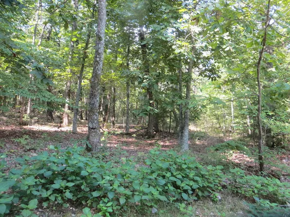 Lot 15 Pr Off County Road 359, Thayer, MO 65791