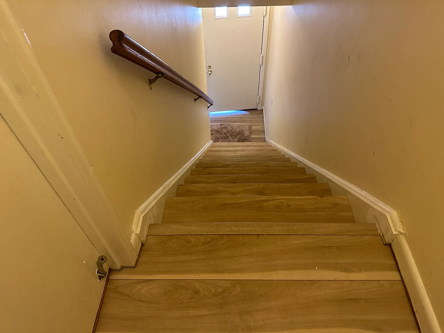 1 bed, 800 sqft, $1,900 — Photo 3