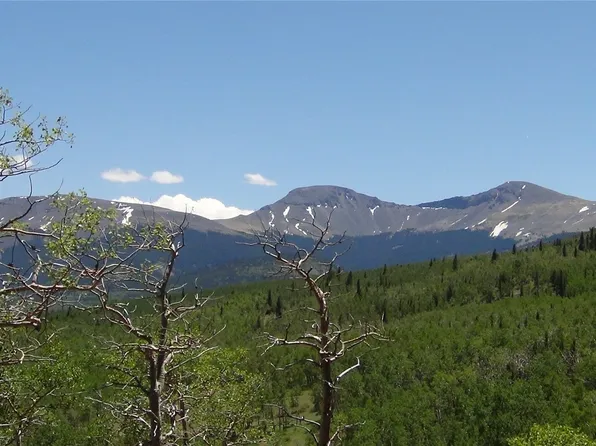 74 Forest Dr, Fairplay, CO 80440