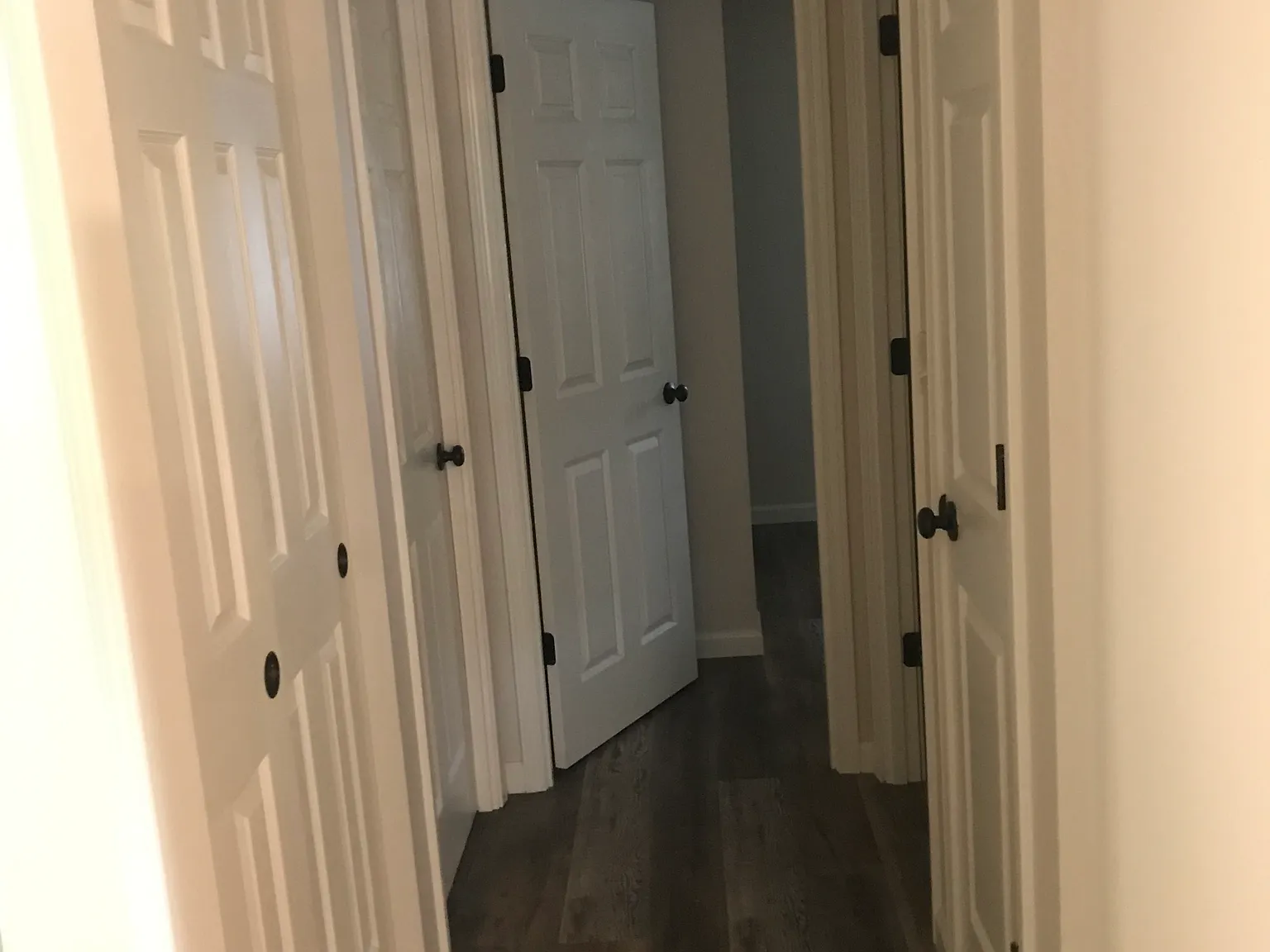 2 bed, 900 sqft, $1,250 — Photo 2