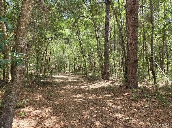 11953 N Glenview Ave, Dunnellon, FL 34433