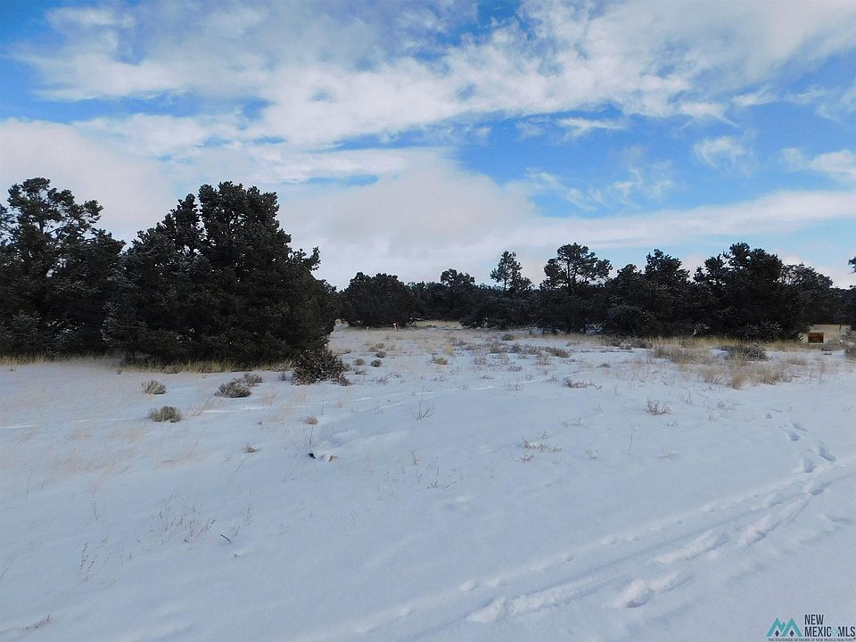 26 Spring Canyon Cir, Quemado, NM 87829 MLS 20230396 Zillow