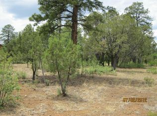 2452 Deer Path, Happy Jack, AZ 86024