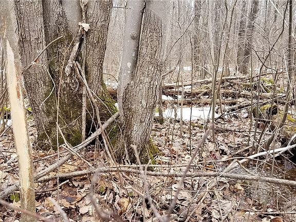 5th image of 001 N Bell School Rd.