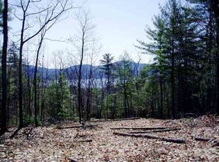 10 Moccasin Rock Dr, Bolton Landing, NY 12814