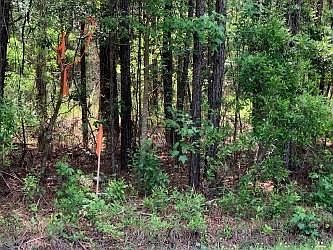 2nd image of 68 Longleaf Dr