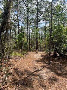  SE 10th St, Williston, FL, 32696
