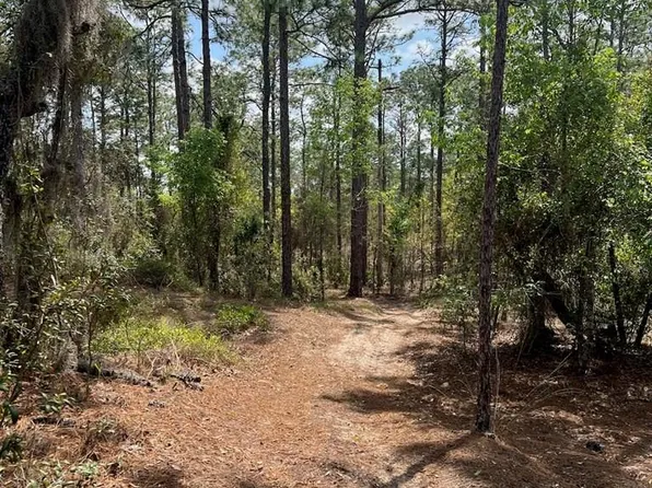  SE 10th St, Williston, FL 32696
