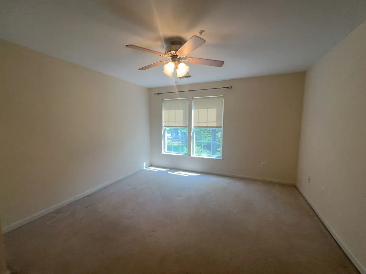 3903 Manheim Place — Photo 1