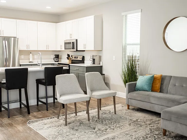 Open concept living room and Kitchen
