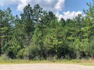 17 Clear Lake Rd, Perkinston, MS 39573