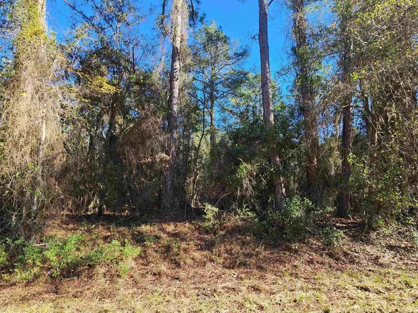 131 Georgetown Denver Rd, Georgetown, FL 32139