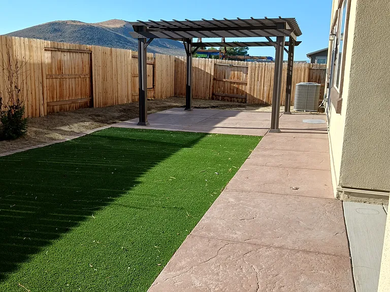 Back yard