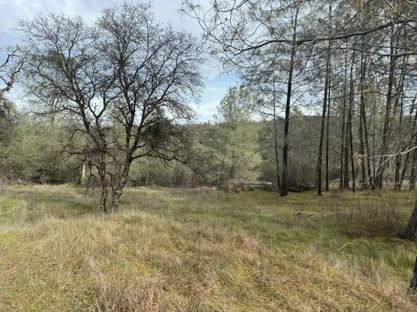 10600 Wild Turkey Ln, Smartsville, CA 95977