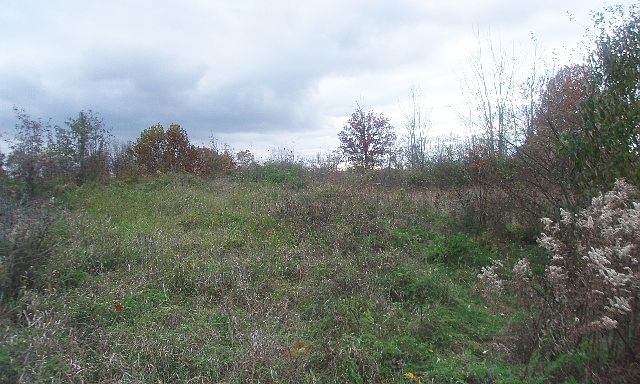 2nd image of 1134 Meadowview Rd