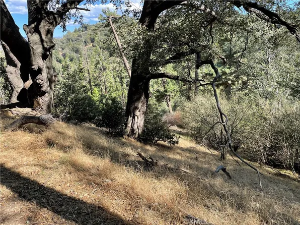 5 Deer Run Rd #5, Cedarpines Park, CA 92322
