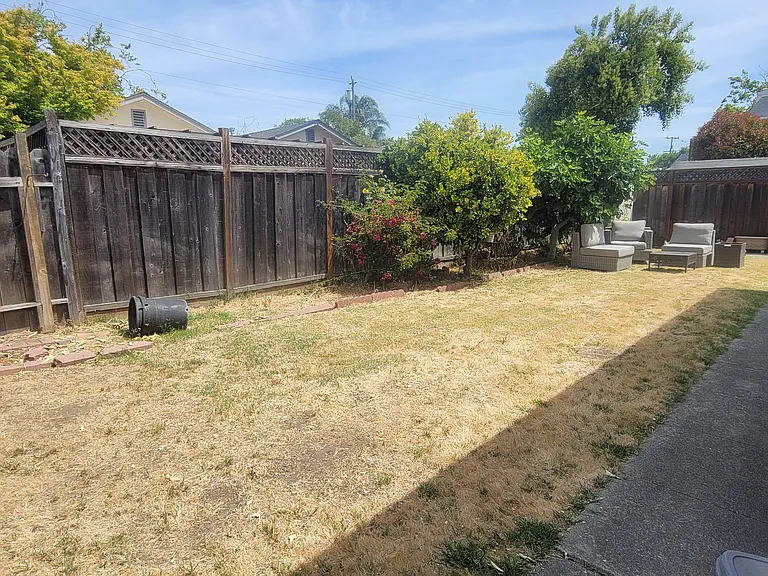 Shared back yard.