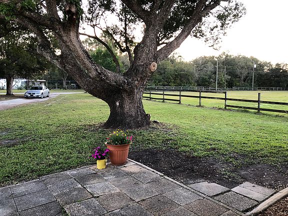 wilson road (9)_01292020