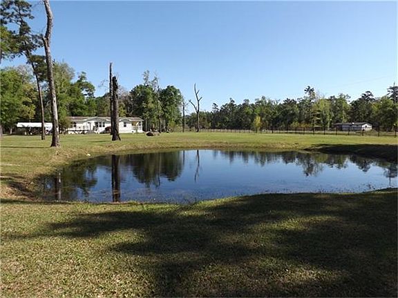 Small pond in the front for relaxing and maybe some fishing and frogs!