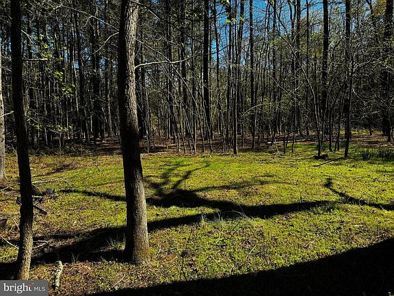 4th image of 0 Public Landing Rd