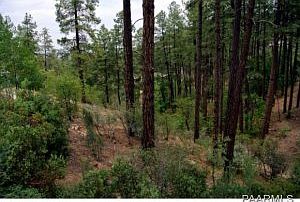 1st image of 1505 Cathedral Pines Cir