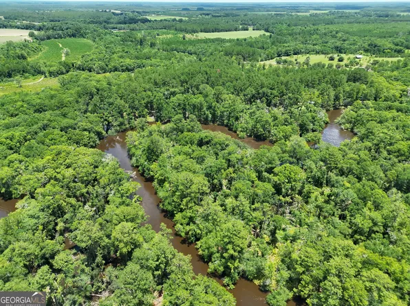 Wildcat Lane Satilla Riv, Waycross, GA 31503