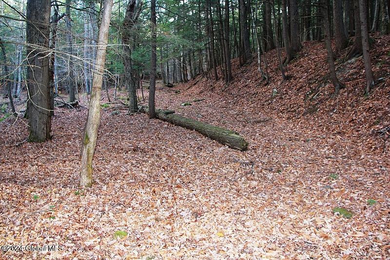 3rd image of L2 Lawton Hollow Road