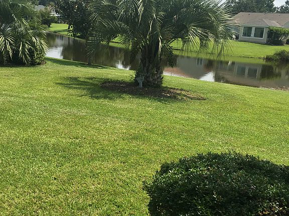 Backyard Lagoon View