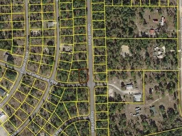 Fisher Lane Way, Ocklawaha, FL 32179